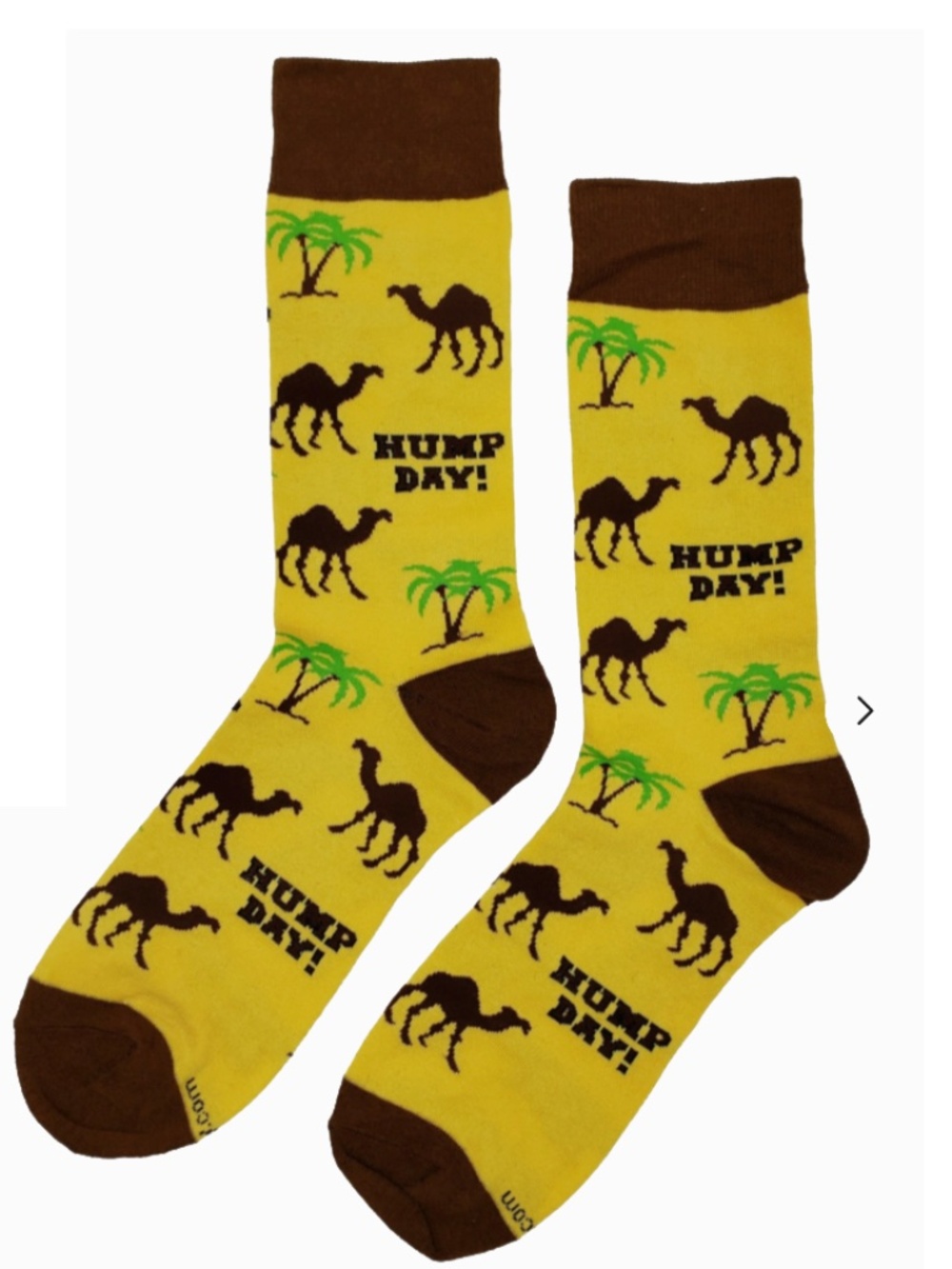 Yellow Camel Hump Day Socks for Men